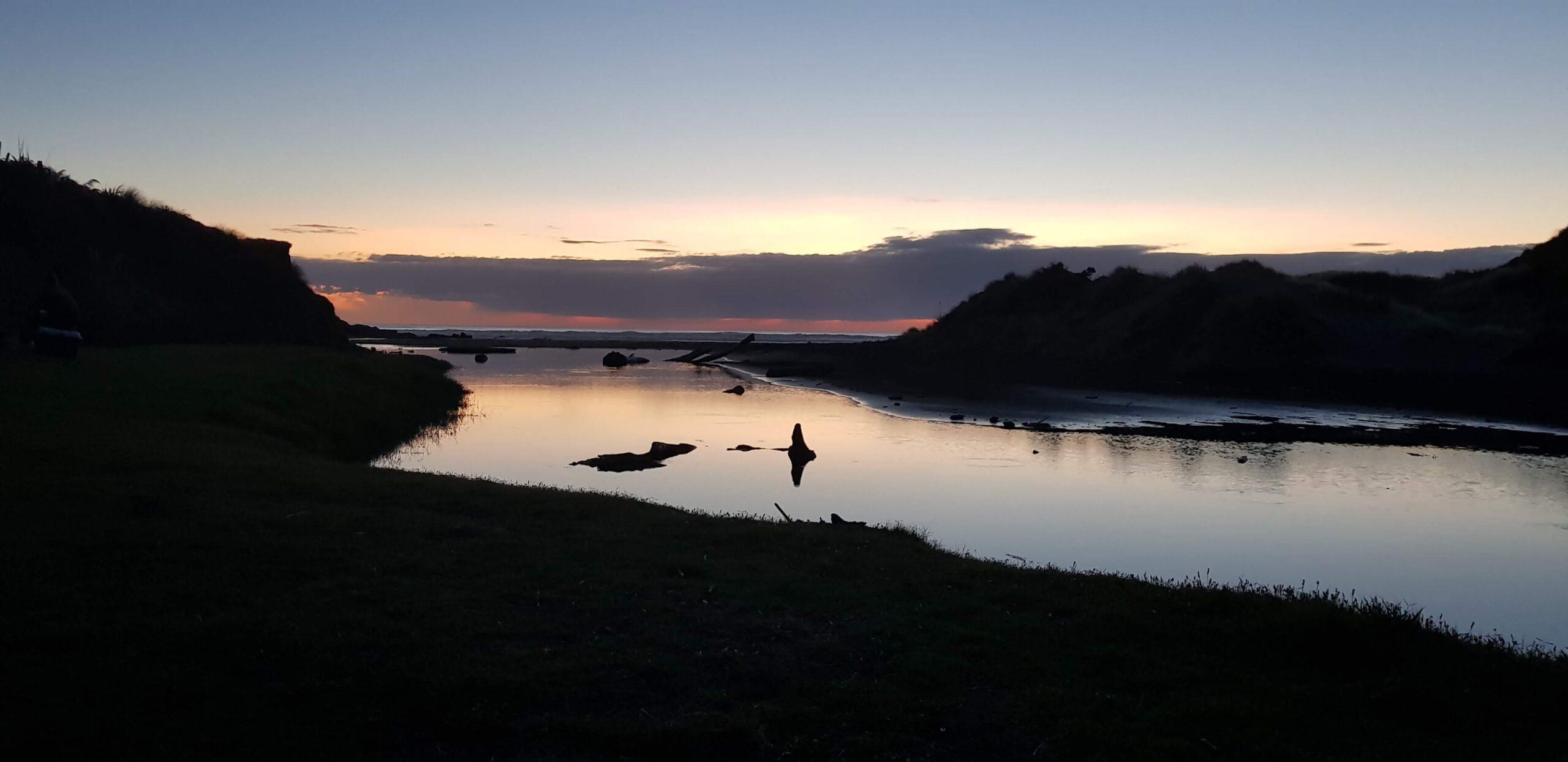 Freedom Camping Hamiltons Gap / Auckland